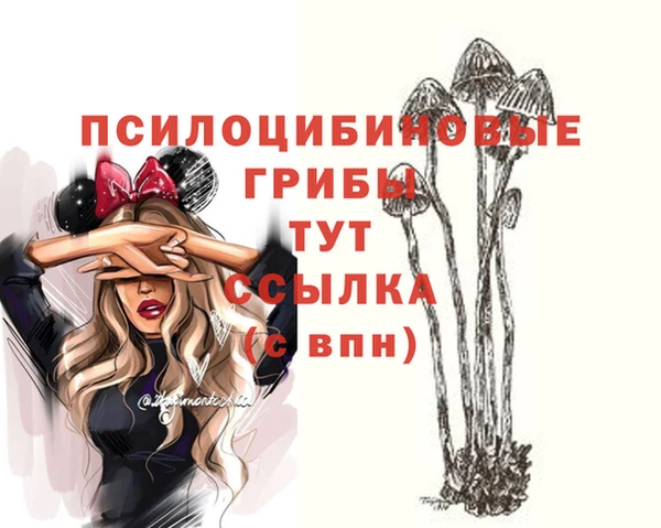 СК Володарск
