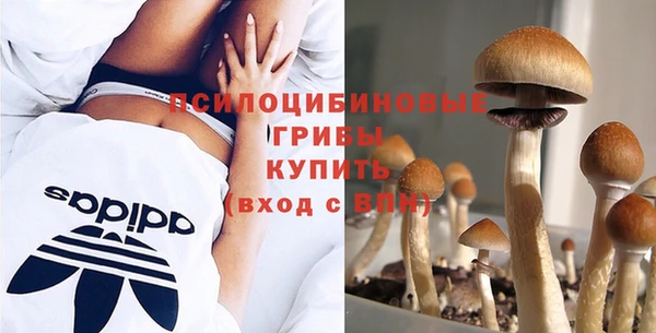 бошки Волосово