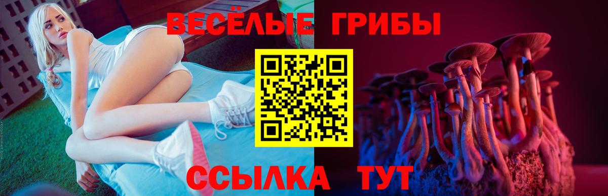 Галлюциногенные грибы MAGIC MUSHROOMS  Вход с VPN  Воскресенск  Галлюциногенные грибы прущие грибы 